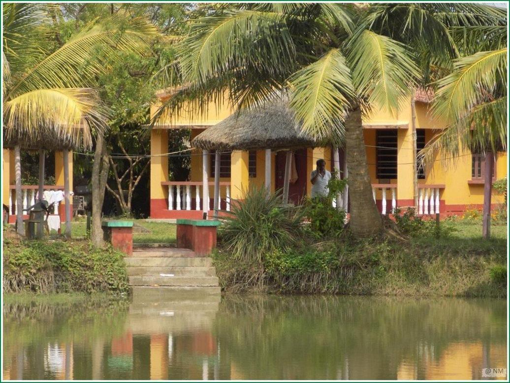 Tarangamala Resort Mandarmani Luaran gambar